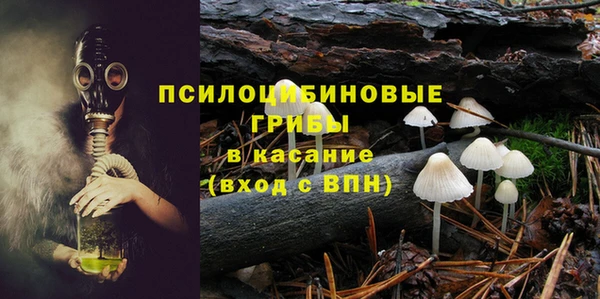 spice Балабаново