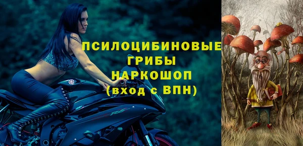 spice Балабаново